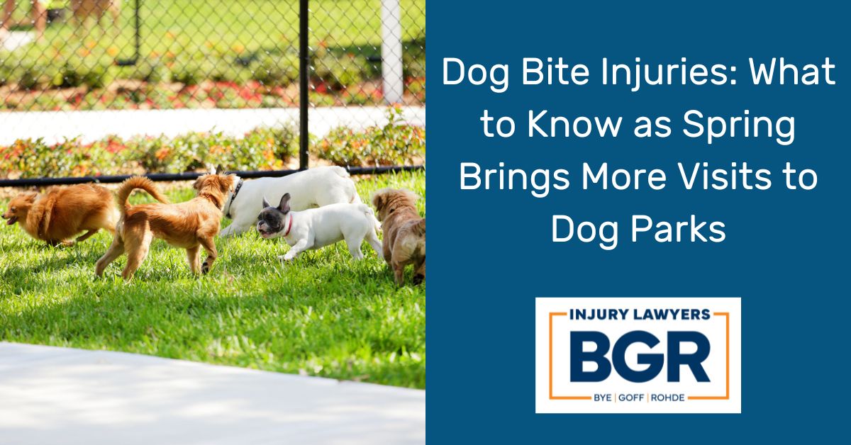 Dog Bite Injuries: What to Know as Spring Brings More Visits to Dog Parks